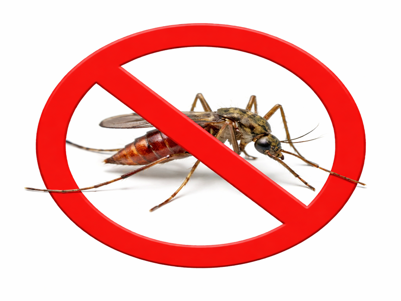 Mosquito Control